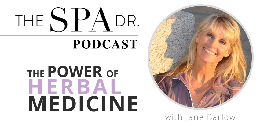 The Power of Herbal Medicine with Jane Barlow-Christensen