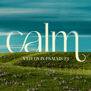 Calm - Ask the Shepherd to Lead You