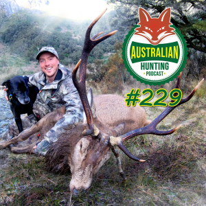 AHP #229 - Hunting From Behind The Camera With Joe Edlington