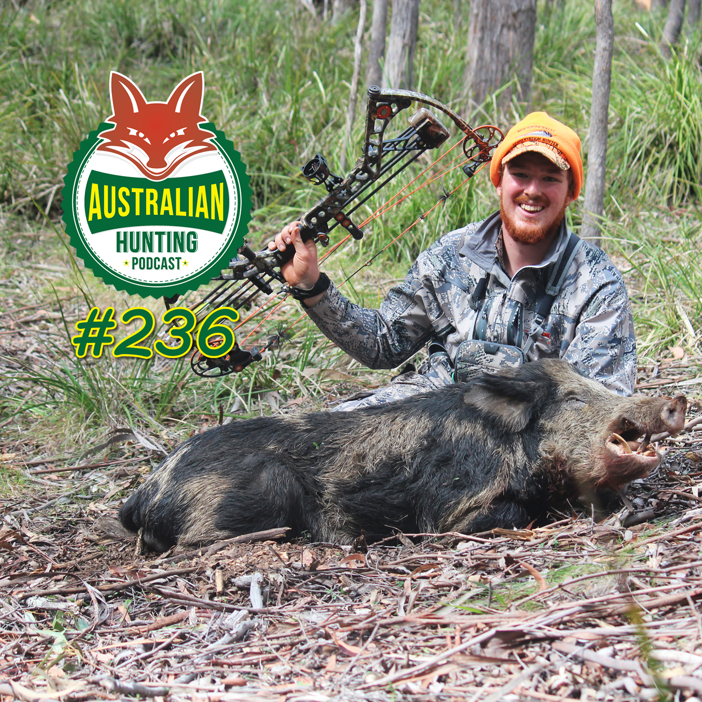 AHP #236 - Hunting Northern NSW With Ben Hohnke