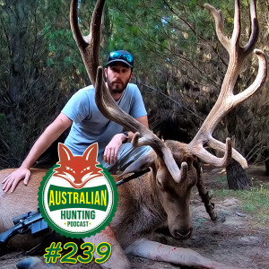 AHP #239 - State Forest Hunting With Adventure Bounds Ben Miller