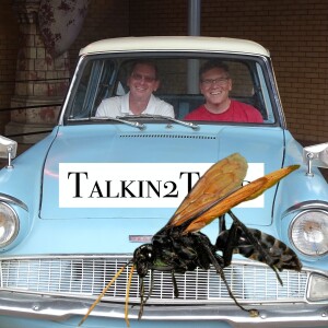 Ep. 231 - I didn't do homework