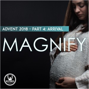 Arrival - Week 4 of Advent