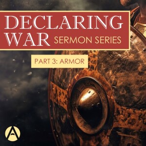 Declaring War Part 3: Armor