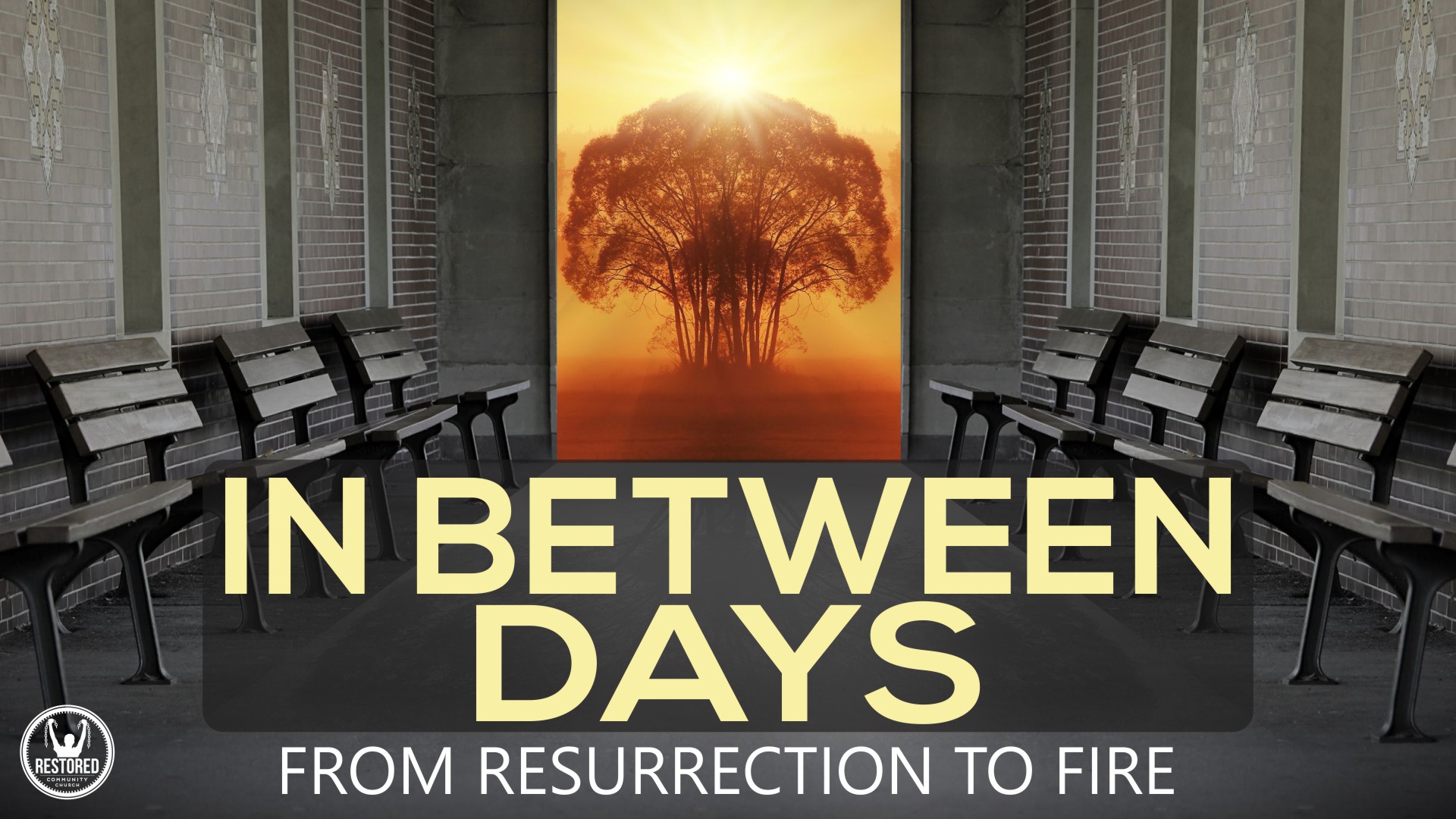In Between Days - From Ressurection to Fire: Part 1