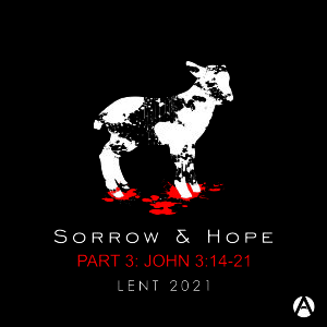 Sorrow and Hope Part 3: For God So Loved the World - John 3:14-21