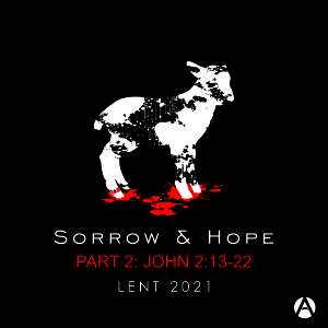Sorrow and Hope Part 2: Cleanse the Temple - John 2:13-22