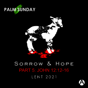 Sorrow and Hope Part 5: Not Gone the Way I thought it Would - John 12:12-16