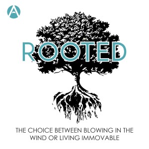 Rooted: The Choice Between Blowing in the Wind OR Living Immovable