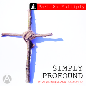 Simply Profound Part 8: Multiply