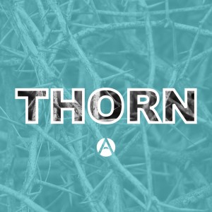 Thorn