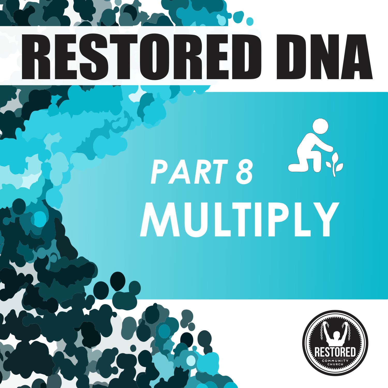 Restored DNA, Part 8: Multiply