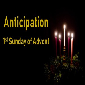 Anticipation - The Beginning of Advent 