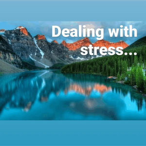 E50: Dealing with the stress of isolation