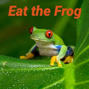E60:  Eat the Frog!