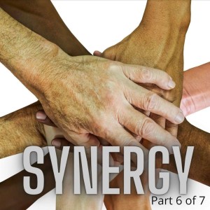 E69:  Synergy - Part 6 of 7 of the Success Habits series