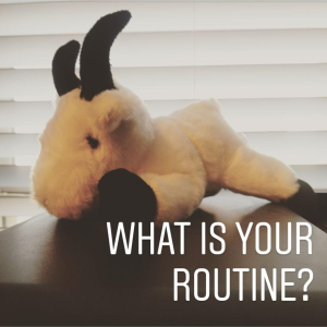 E46:  How routines can help you maintain normalcy