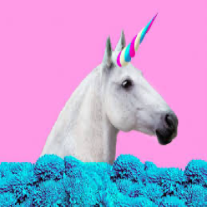 Episode 3: What is a unicorn and why do unicorns lose billions?