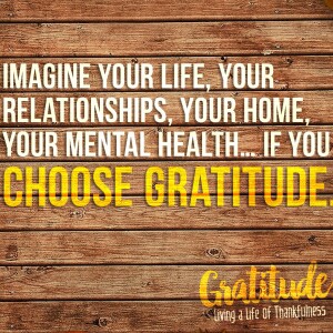 Gratitude Week 4 - Fullness of Life