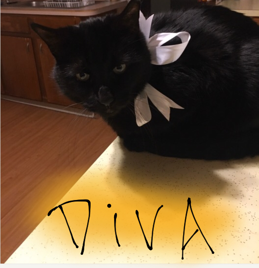 Miller the diva