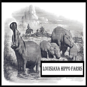 Louisiana Hippo Farm