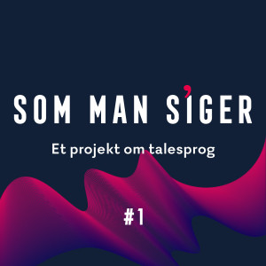 Som man siger - Et projekt om talesprog #1