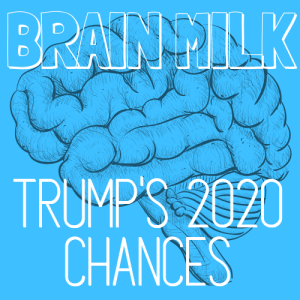 Trump's 2020 Chances