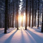 Preparing for the December Solstice. What You Need to Know