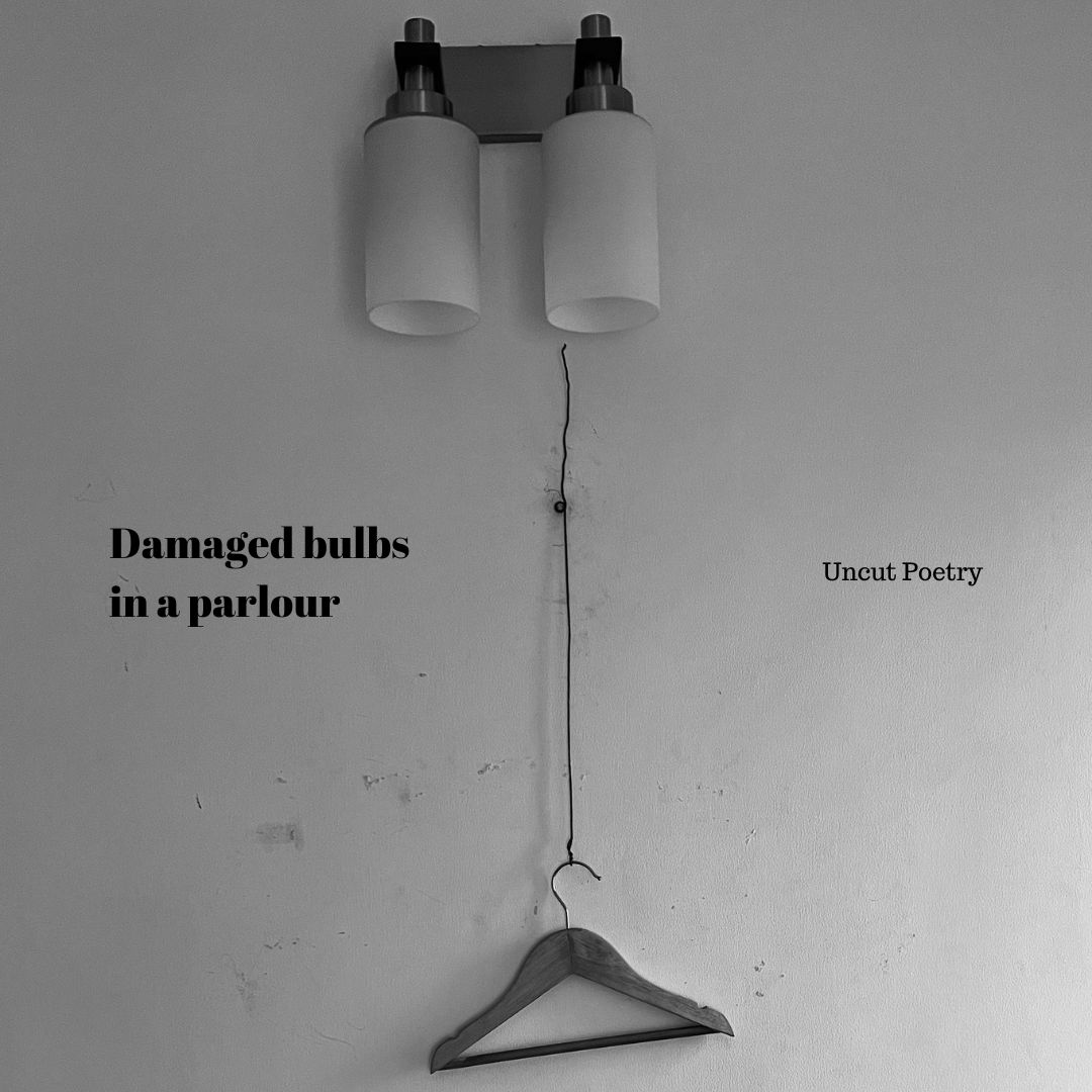 Damaged Bulbs in a Parlour