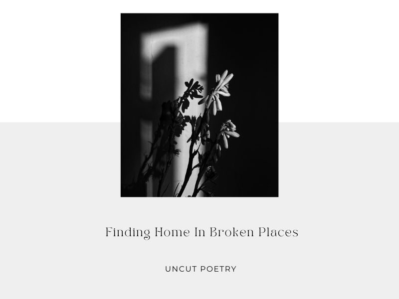 Finding Home in Broken Places