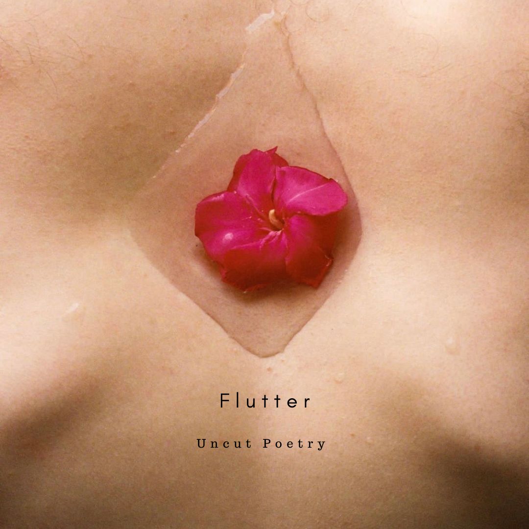 Flutter