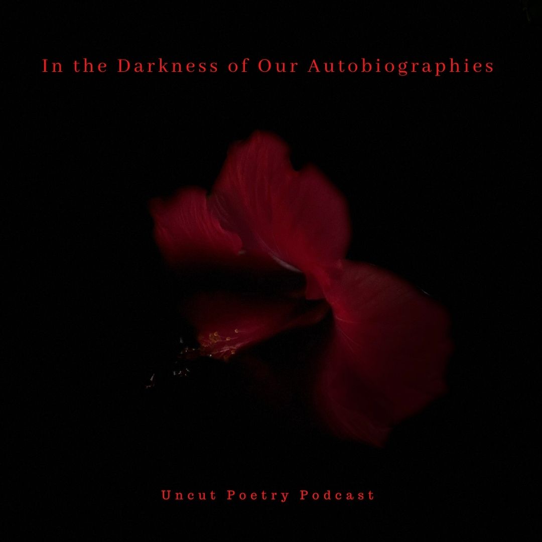 In the Darkness of Our Autobiographies