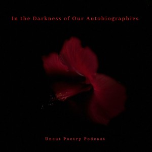 In the Darkness of Our Autobiographies