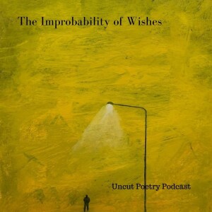 Replay - The Improbability of Wishes
