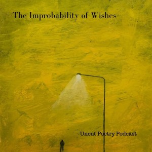 The Improbability of Wishes