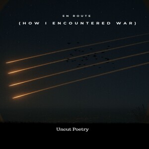 En route (how I encountered war)