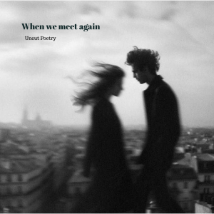 When We Meet Again
