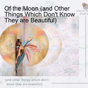 Of the Moon (and Other Things Which Don't Know They are Beautiful)