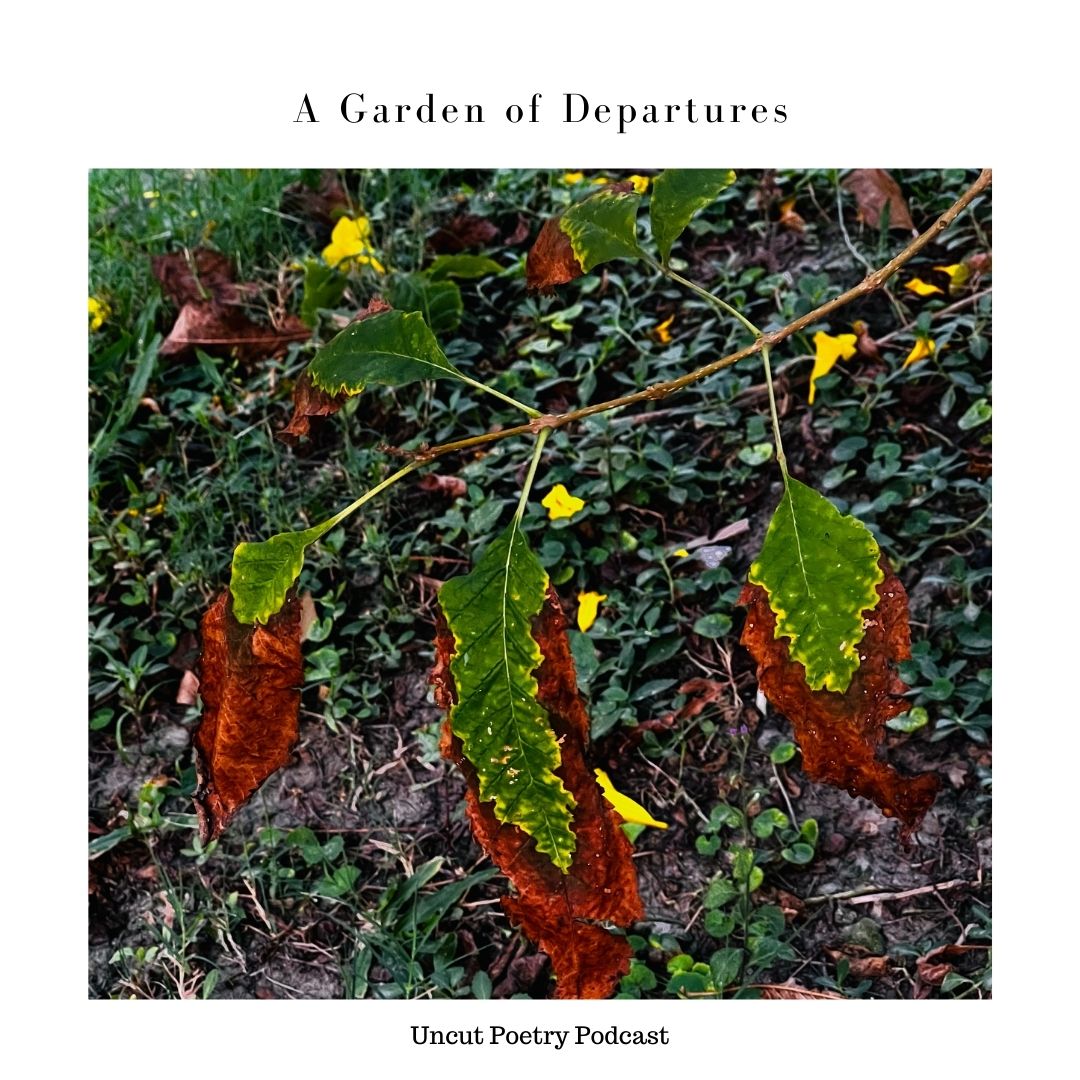 A Garden of Departures