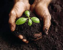 Prayer - On what ground are you Praying