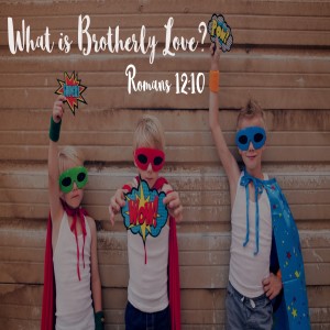 What is Brotherly Love?  Romans 12:10 (Audio)
