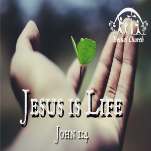 Jesus is Life -- John 1:4