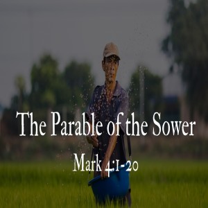 The Parable of the Sower - Mark 4:1-20 (Jeremy Hamilton)