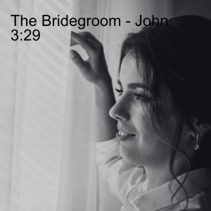 The Bridegroom - John 3:29