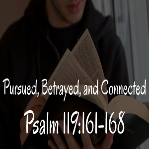 Pursued, Betrayed, and Connected - Psalm 119:161-168