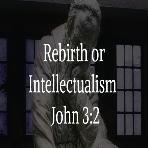 John 1:3 - Rebirth or Intellectualism
