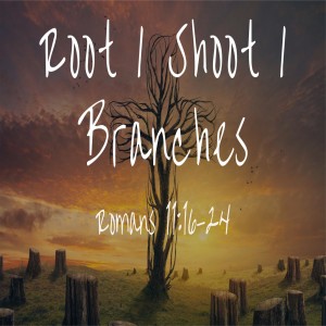 Root, Shoot, Branches - Romans 11:16-24