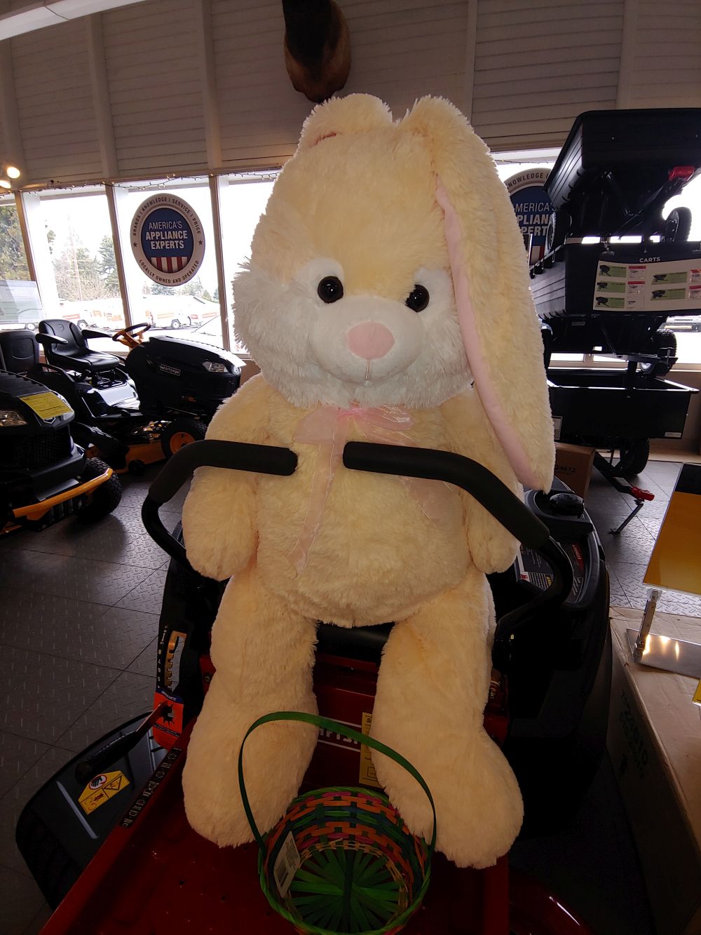The KLYC Great Bunny Hop Away! Take Me home!!