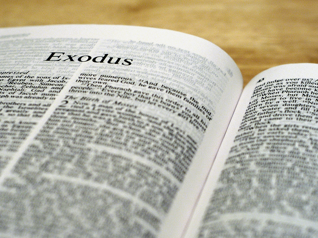 The Exodus: The Passover and Leaving Captivity