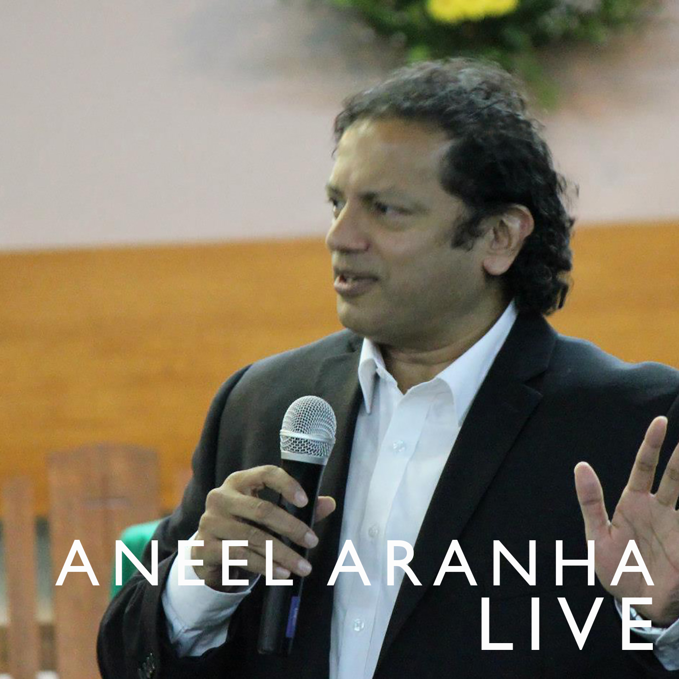 The Four Pillars of the Church - Aneel Aranha